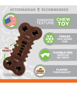 Nylabone Freezer Bone Wolf Chew Dog Toy