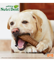 Nylabone Natural Nutri Dent Chew Bone Fillet Mignon Flr For Large Dogs 195g