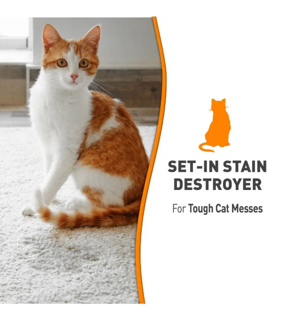 Nature's Miracle Oxy Formula Set in Stain Destroyer For Cats