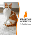 Nature's Miracle Oxy Formula Set in Stain Destroyer For Cats