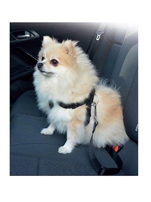 Pawise Safety Belt