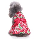 Pets.Love.Earth Watermelon Cocktail Dress
