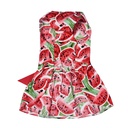 Pets.Love.Earth Watermelon Cocktail Dress