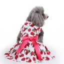 Pets.Love.Earth White with Roses Ribbon Cozy Sleeveless Dress Red