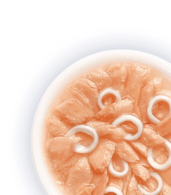 Cat Fest Salmon with Calamari Tender Jelly Pouch 70g