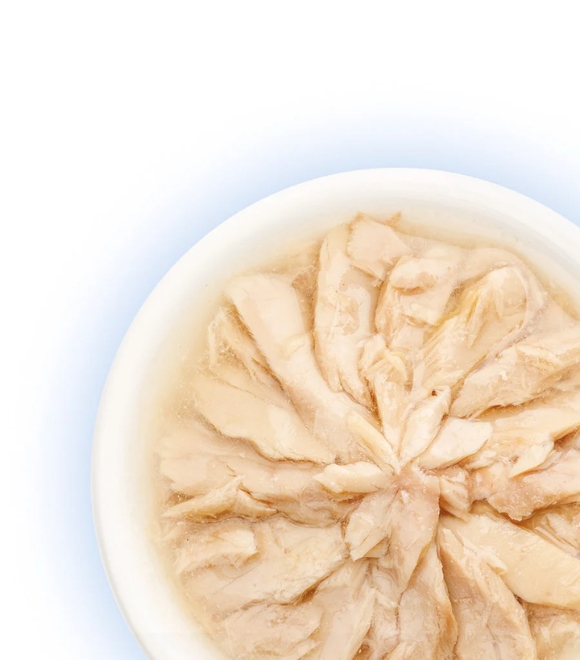 Cat Fest Tuna Fillet Tender Jelly Pouch 70g