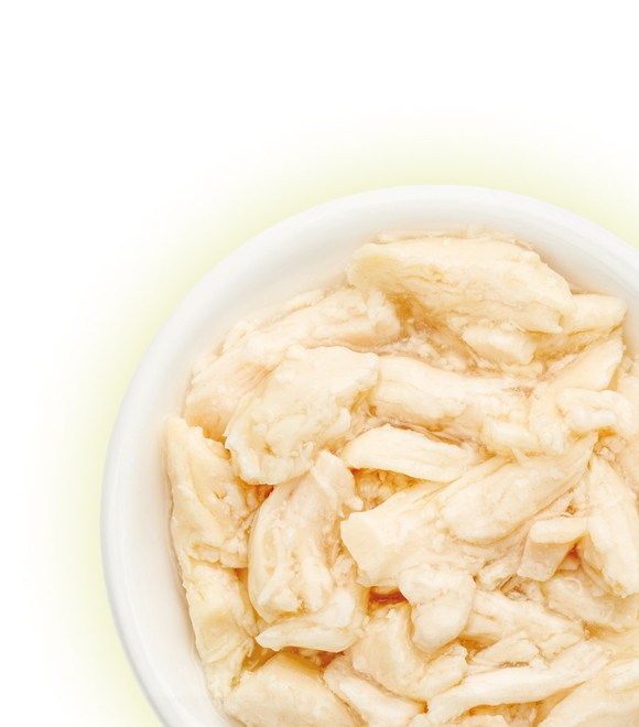 Cat Fest Chicken Fillet Tender Jelly Pouch 70g