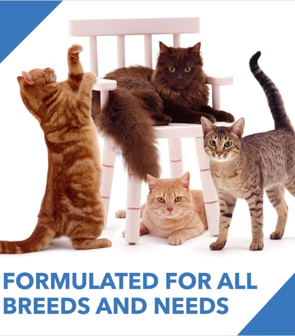 Drools Cat Dry Food – Mackerel