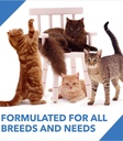 Drools Cat Dry Food – Mackerel