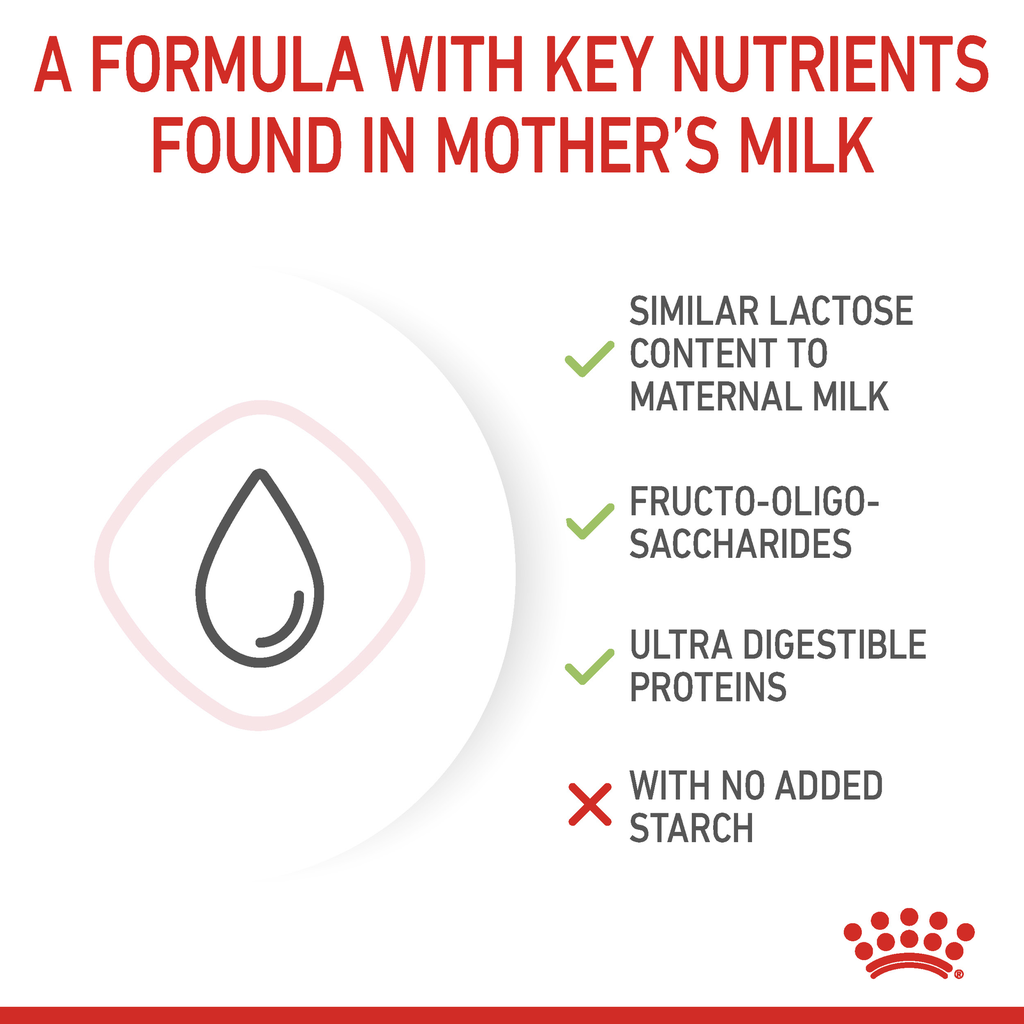 Royal Canin Baby Cat Milk 300g