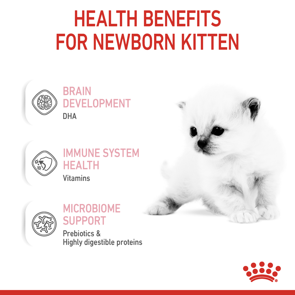 Royal Canin Baby Cat Milk 300g
