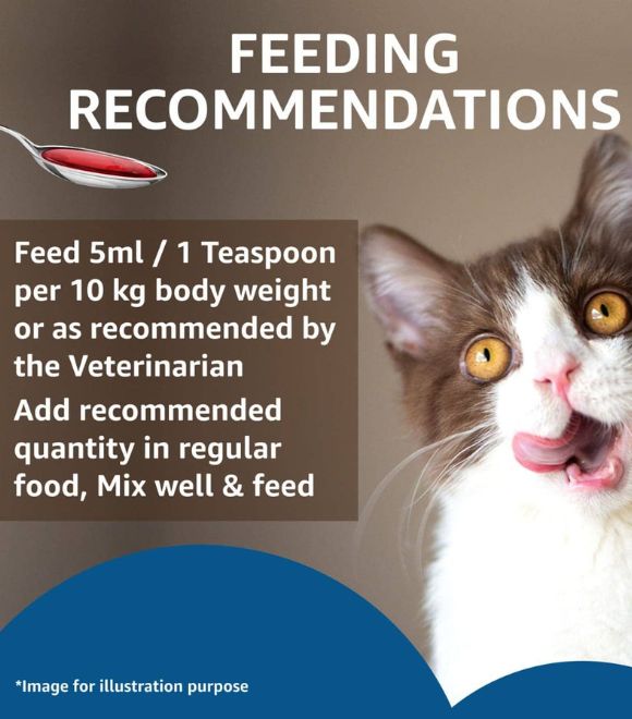 Drools Cat Salmon Oil Syrup 150ml