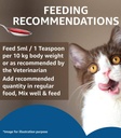 Drools Cat Salmon Oil Syrup 150ml