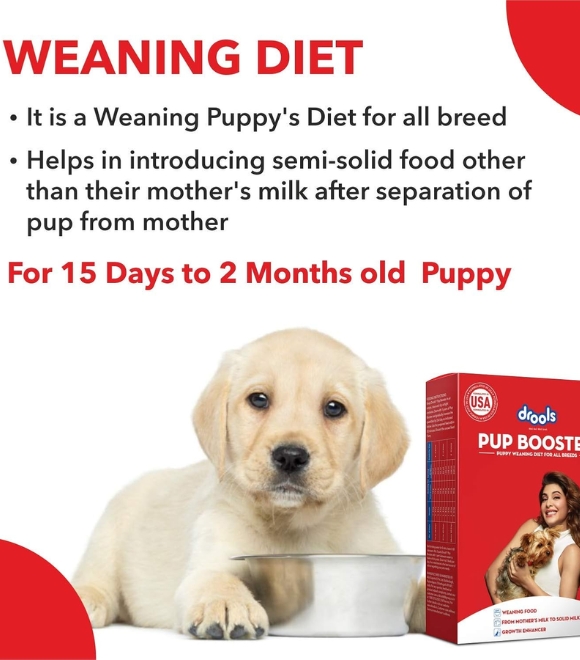 Drools Pup Booster 300g