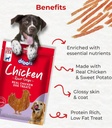 Drools Chicken Roast Strips Dog Treats 70g