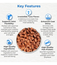 Drools Tuna Mini Sticks Cat Treats 35g
