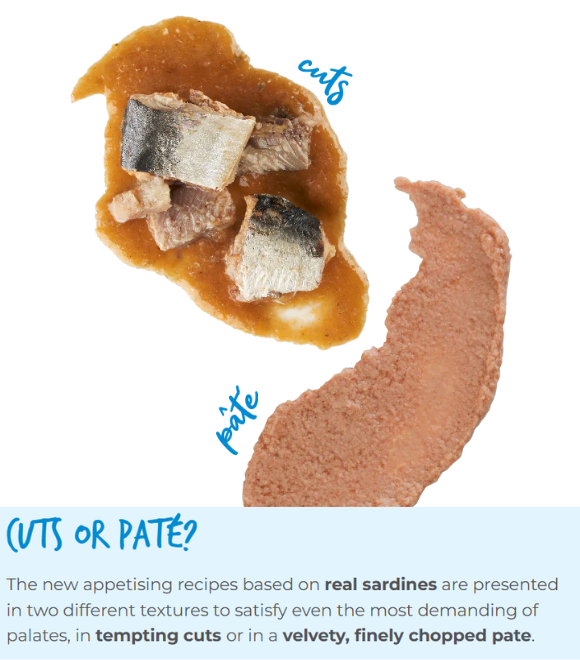 Schesir Cat Can Sardine Fillets in Sauce 70g