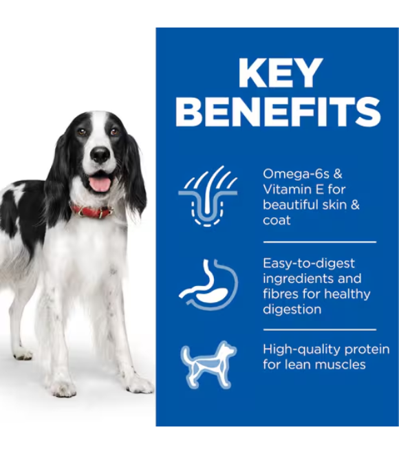 Hill's Science Plan Adult Dog Food with Chicken 370g