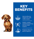 Hill's Science Plan Perfect Weight Small &amp; Mini Adult Dog Food with Chicken 1.5KG