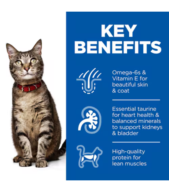 Hill's Science Plan Adult Wet Cat Food Ocean Fish Pouches 85g