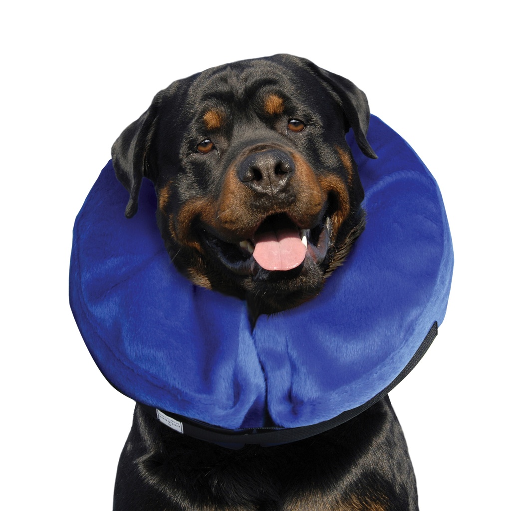 Kong Cloud E Collar
