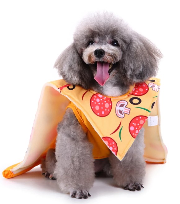 Pets.Love.Earth Delicious pizza set (two-piece set)