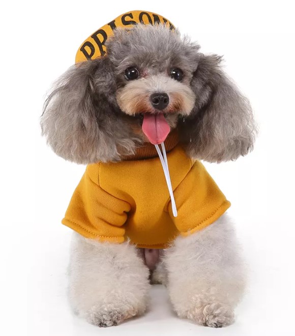Pets.Love.Earth Digital Prison Uniform