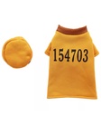Pets.Love.Earth Digital Prison Uniform