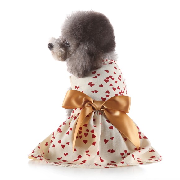 Pets.Love.Earth Cocktail Dress With Golden Bow