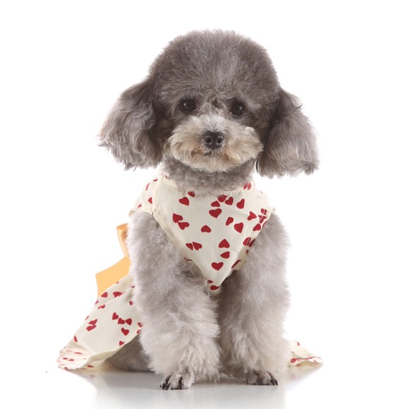Pets.Love.Earth Cocktail Dress With Golden Bow