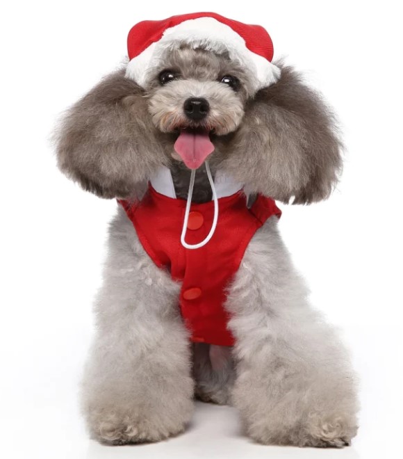 Pets.Love.Earth Christmas dress suit (2 pieces of hat + clothes)