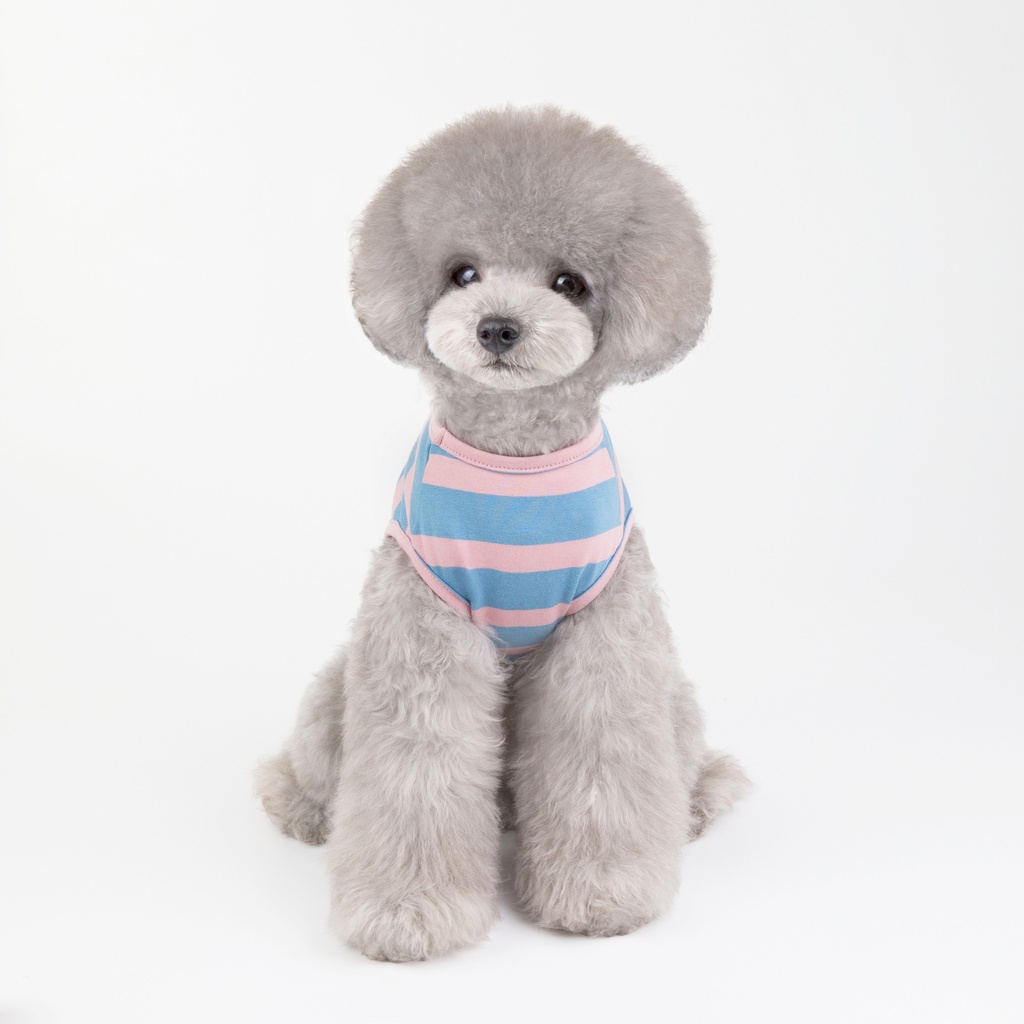 Pets.Love.Earth Rock Paper Scissors Vest Blue