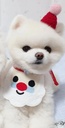 Pets.Love.Earth Neck Tie M