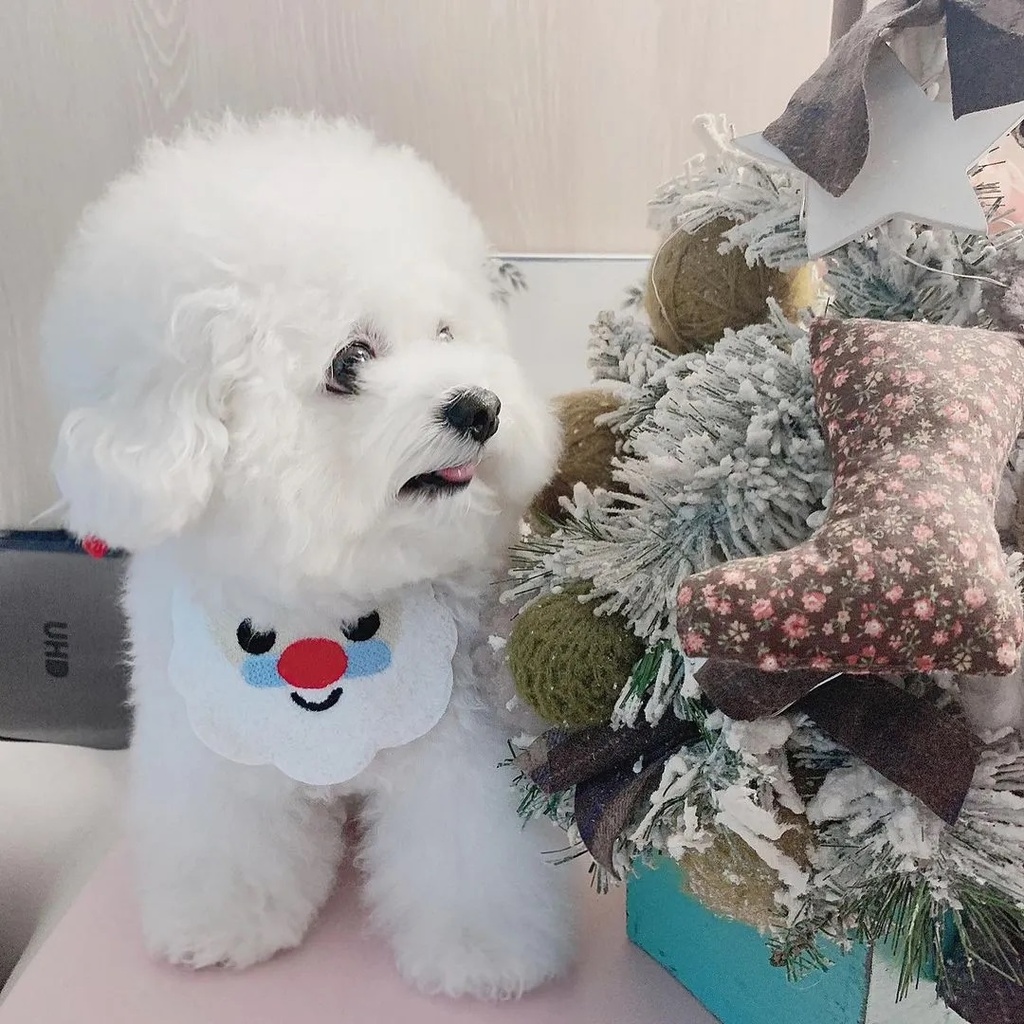 Pets.Love.Earth Neck Tie M