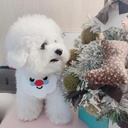 Pets.Love.Earth Neck Tie M