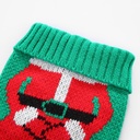 Pets.Love.Earth Christmas Skirt Sweater Green