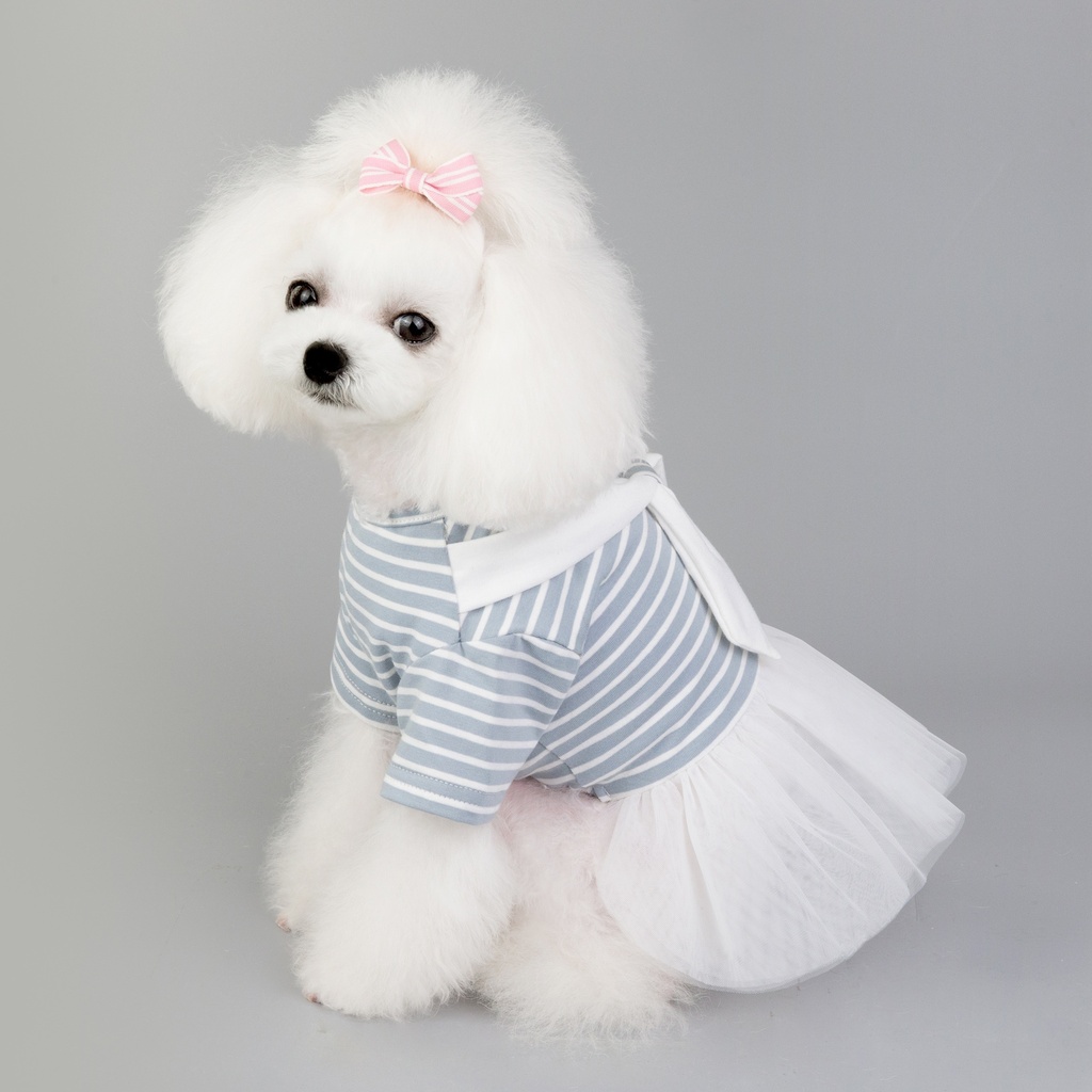 Pets.Love.Earth Navy Dress Light Blue