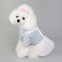 Pets.Love.Earth Navy Dress Light Blue
