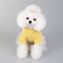 Pets.Love.Earth Navy Dress Yellow