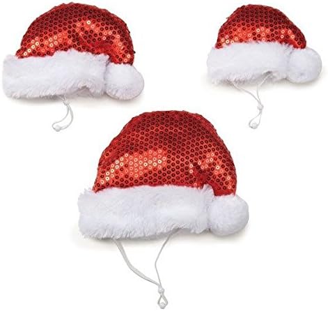 AR Sequin Santa Hat