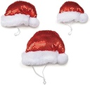 AR Sequin Santa Hat
