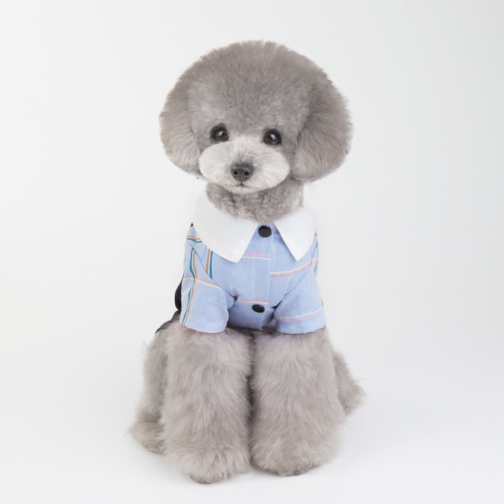 Pets.Love.Earth Pet Suit With Bow Blue
