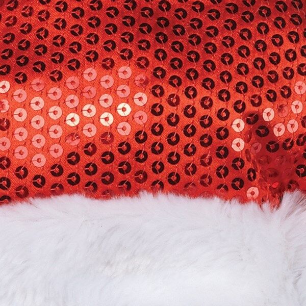 AR Sequin Santa Hat