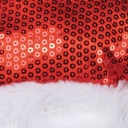 AR Sequin Santa Hat