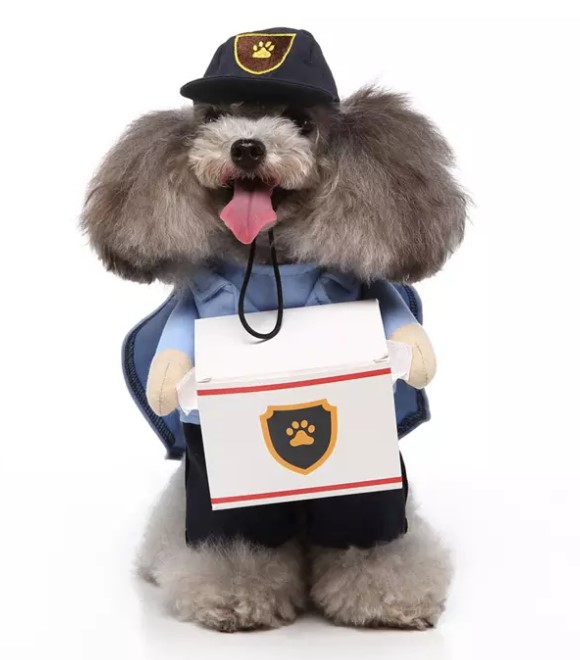 Pets.Love.Earth Courier standing outfit
