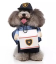 Pets.Love.Earth Courier standing outfit