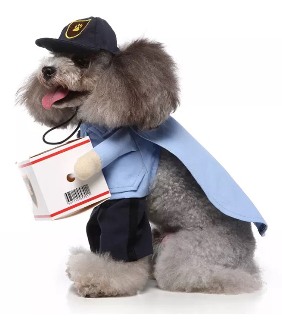 Pets.Love.Earth Courier standing outfit