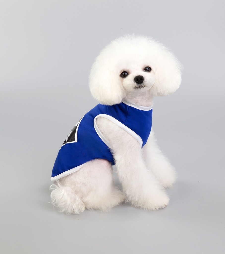 Pets.Love.Earth X Punk Tank-Top Blue