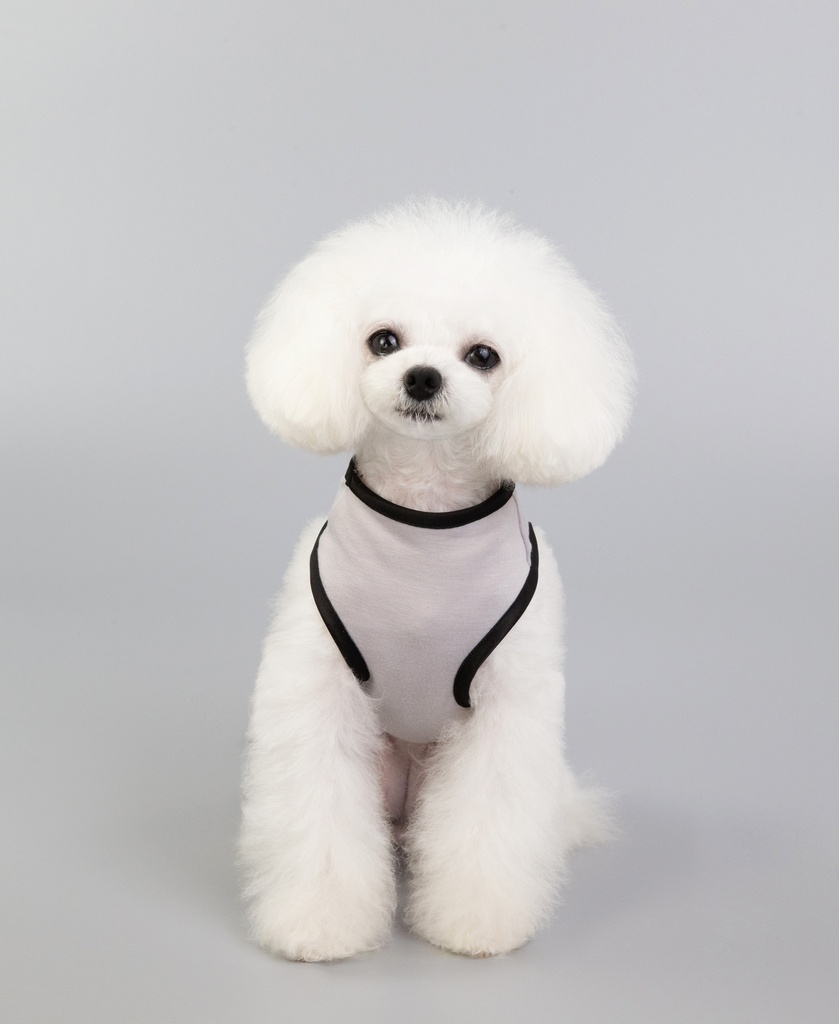 Pets.Love.Earth X Punk Tank-Top Grey