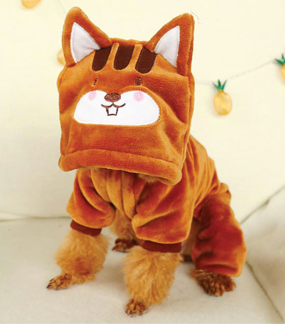 Pets.Love.Earth Cute Dog Fox Costumes